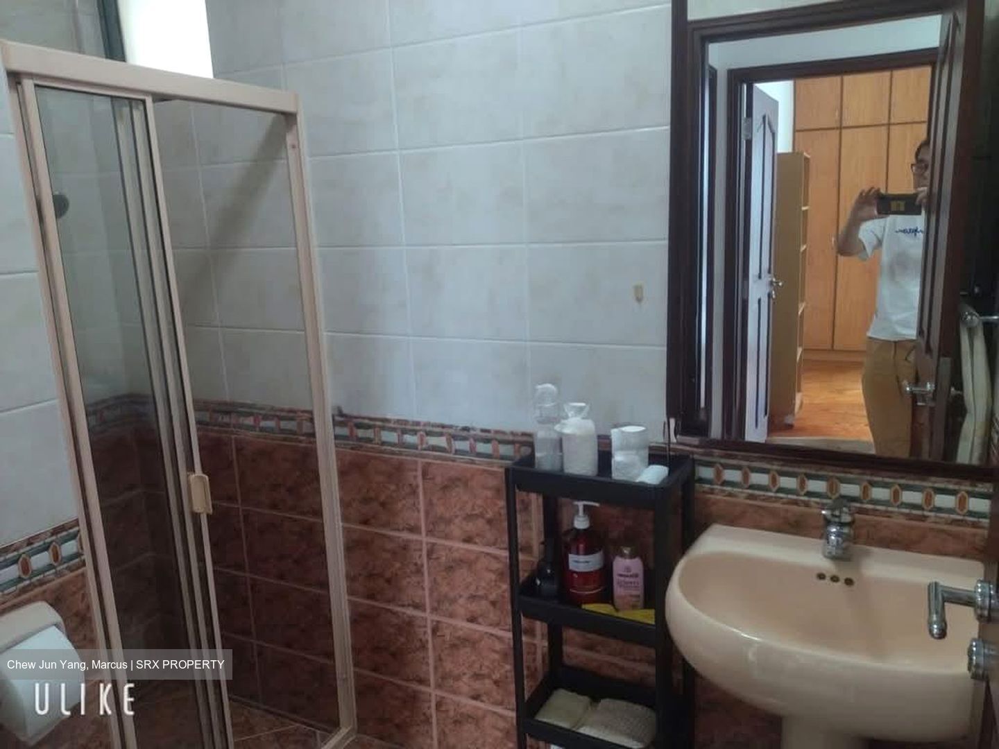 Tanglin Regency (D10), Condominium #606322341